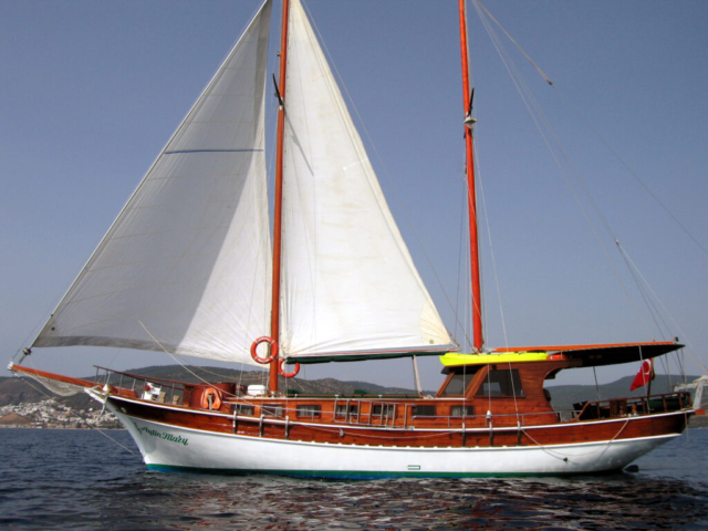 ariva (1)