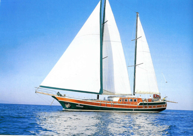 serenad (9)